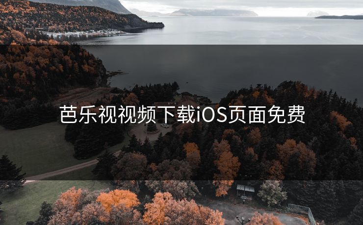 芭乐视视频下载iOS页面免费