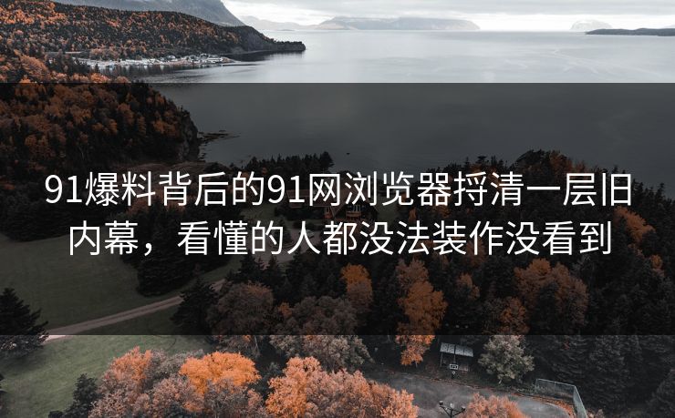 91爆料背后的91网浏览器捋清一层旧内幕，看懂的人都没法装作没看到